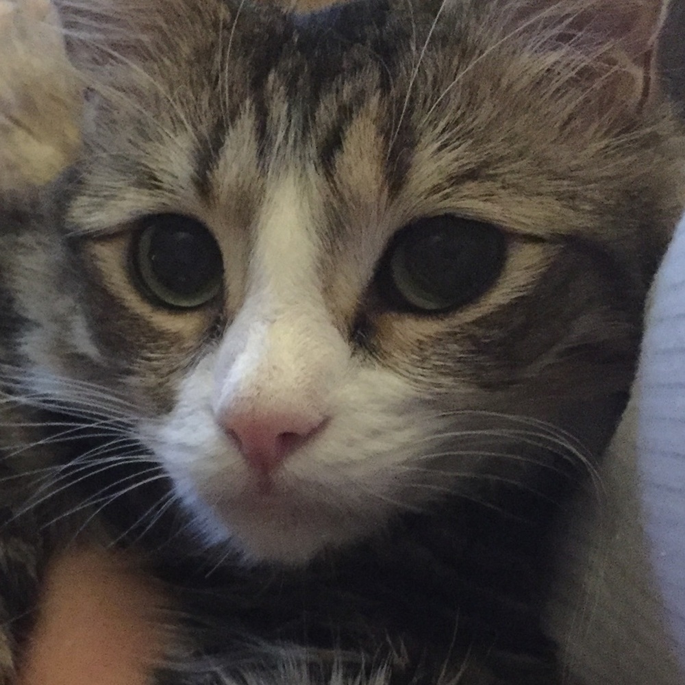 Meet your Posher, Faith